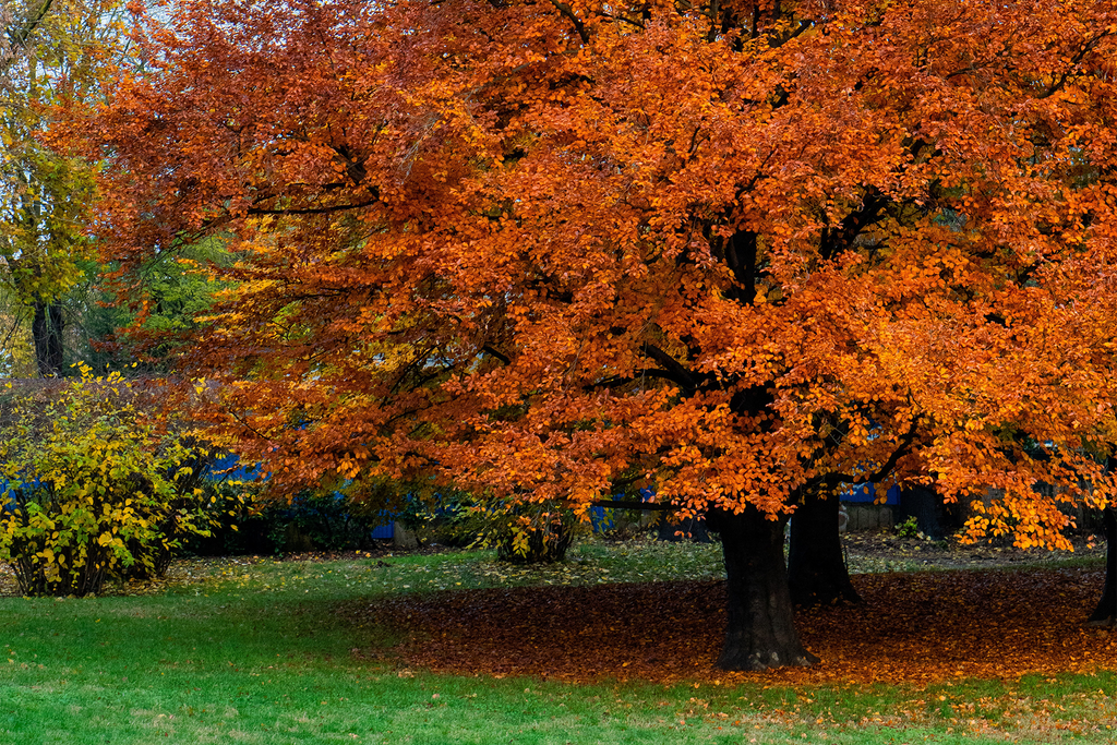 5 Fall Mini Farm Projects